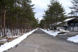 © Waikei - 雪の残る白い脇道と木々、真ん中の一直線の道路
