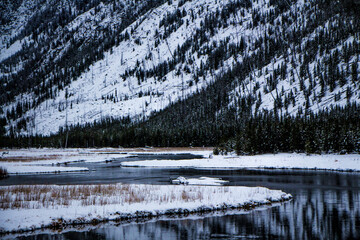 Wall Mural - Yellowstone National Park in Winter