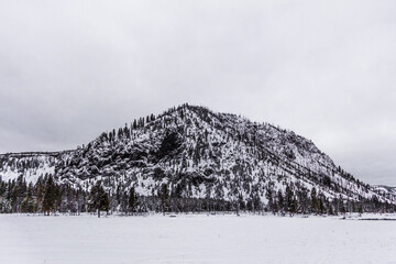 Wall Mural - Yellowstone National Park in Winter