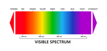 Visible Light Spectrum, Infared And Ultraviolet. Electromagnetic Visible Color Spectrum For Human Eye. Vector Gradient Diagram With Wavelength And Colors. Educational Illustration On White Background.