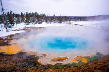 Wall Mural - Yellowstone National Park in Winter