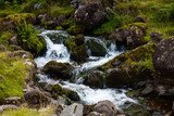 Fototapeta  - stream in the forest