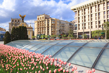 Independence Square In War Time With Bloomimg Tulips In Kyiv, Ukraine