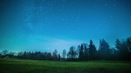 colorful aurora borealis at starry night sky with silhouetted trees in the forest. - low angle