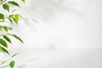 Wall Mural - empty table top and olive leaves on white wall background