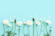 Leinwandbild Motiv Top view image of white flowers composition over blue pastel background