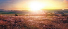 Beautiful Colorful Natural Panoramic Landscape At Sunset. Field With Wild Grass In Evening In  Rays Of Setting Sun.