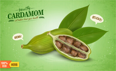 Wall Mural - Fresh Green Cardamom spices pods with half cardamom half piece and green leaves isolated on green background