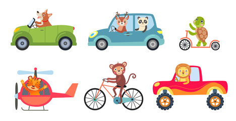 Wall Mural - Comic animals in different vehicles vector illustrations set. Different means of transport, cute funny monkey, lion cartoon characters riding car, helicopter, bike, scooter. Transportation concept