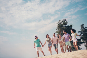 Poster - Photo of carefree cute young six friends wear casual clothes smiling holding arms walking talking outside countryside