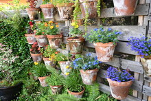 Wall Of Colorful Pots