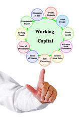 Sticker - Eleven Source of Working Capital