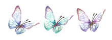 Watercolor Blue Tropical Butterflies Isolated On A White Background. Moths For Design