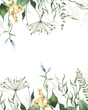 Watercolor Painted Floral Frame On White Background. Green And Yellow Wild Twigs, Branches And Flowers. Vector.