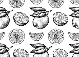 Sketch hand drawn pattern of black lemon with leaves isolated on white background. Engraved drawing citrus fruit wallpaper. Organic vegan food packaging. Summer textile, botanical vector illustration.