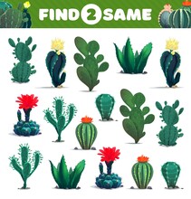 Find Two Same Cacti Succulents, Kids Game Worksheet, Vector Puzzle Or Riddle. Entertainment And Logic Brainteaser Game To Match And Find Similar Tropical Plants Of Cactus Agave Or Opuntia Flower