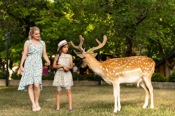 Wall Mural - happy little girl with deer. family weekend