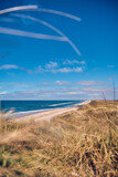 Fototapeta Morze - Danish North sea coast in summer sunlight. High quality photo