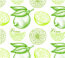 Sketch Hand Drawn Pattern Of Lime With Green Leaves Isolated On White Background. Engraved Drawing Slice Of Citrus Fruit Wallpaper. Organic Vegan Food Packaging. Summer, Botanical Vector Illustration.