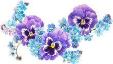 Watercolor Spring Flowers - Forget Me Nots. Bouquet Of Blue Pansies And Forget Me Nots, Botanical Illustration