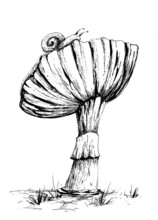 Snail And Mushroom In The Forest