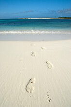 Footprints On The Beach, Los Roques National Park, Los Roques, Venezuela