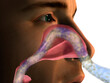 © SuperStock - Close-up of a man breathing through his nose