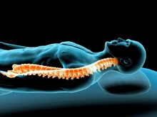 X-ray View Of A Man Resting With View Of Spinal Column