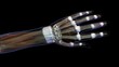© SuperStock - Connective tissue of female hand and wrist anatomy, Female hand and wrist anatomy, back, posterior view, Full color on black background