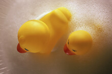 High Angle View Of Two Rubber Ducks