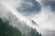 © SuperStock - Fog over trees in a rainforest, Great Bear Rainforest, British Columbia, Canada
