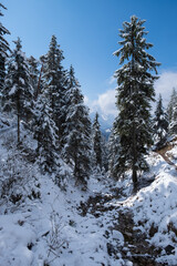 Wall Mural - Landscape near Garmisch-Partenkirchen in Bavaria