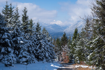 Wall Mural - Landscape near Garmisch-Partenkirchen in Bavaria