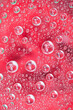 © SuperStock - Water drops on glass - red rose in background