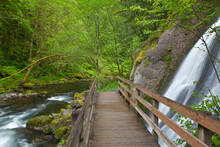 USA, Oregon, Columbia River Gorge, Tanner Creek, Wooden Footbridge Over Stream