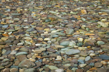 Pebbles Under Water, High Angle View