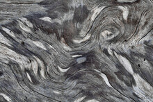 Details Of Patterns In Driftwood, Rialto Beach, Olympic National Park, Washington State, USA