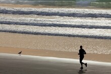 USA, California, La Jolla, Torrey Pines State Natural Reserve And State Beach, Person Running On Beach