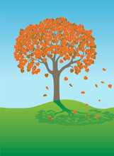 Autumn Tree, Illustration