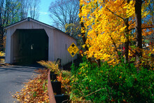 Covered Bridge In A Forest, Green Sergeant's Covered Bridge, Stockton, New Jersey, USA
