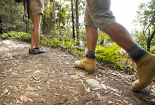 Adult Hikers On Path In Wilderness