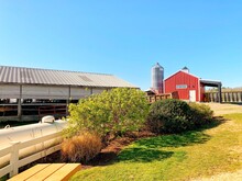 Wrights Dairy Farm And Bakery, North Smithfield, RI Rhode Island, USA, Traditional American Farm, Cows, Red Barn, Silo