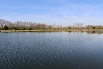  A peaceful country lake in the country on a sunny day.