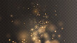 Christmas background. Powder PNG. Magic shining gold dust. Fine, shiny dust bokeh particles fall off slightly. Fantastic shimmer effect.