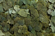 Dry green flakes compound fish feed flakes. Top view