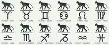 Vector Year Of The Monkey Animal Icons Eastern Annual Horoscope And Zodiac Signs In One Symbol 2028 2040 2052 2064 Years