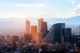 Fototapeta Dmuchawce - Reforma Paseo Mexico landmark. View of Mexico City.