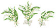 Lily of the valley bouquet. Illustration for greeting template, poster, wedding invitation, banner, holidays decoration 8 march or happy easter cards.