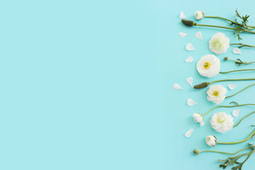 Wall Mural - Top view image of white flowers composition over blue pastel background