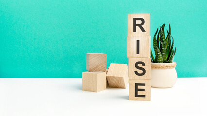 Wall Mural - rise - word is written on wooden cubes on a green background. close-up of wooden elements. In the background is a green flower.